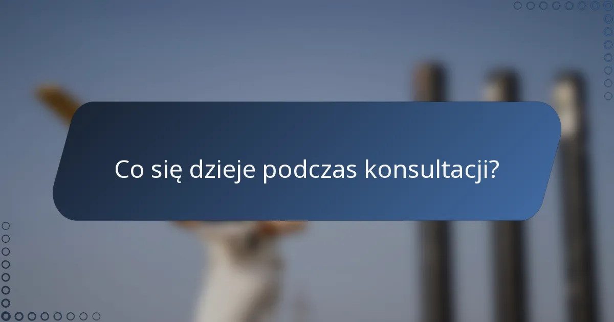 Co się dzieje podczas konsultacji?