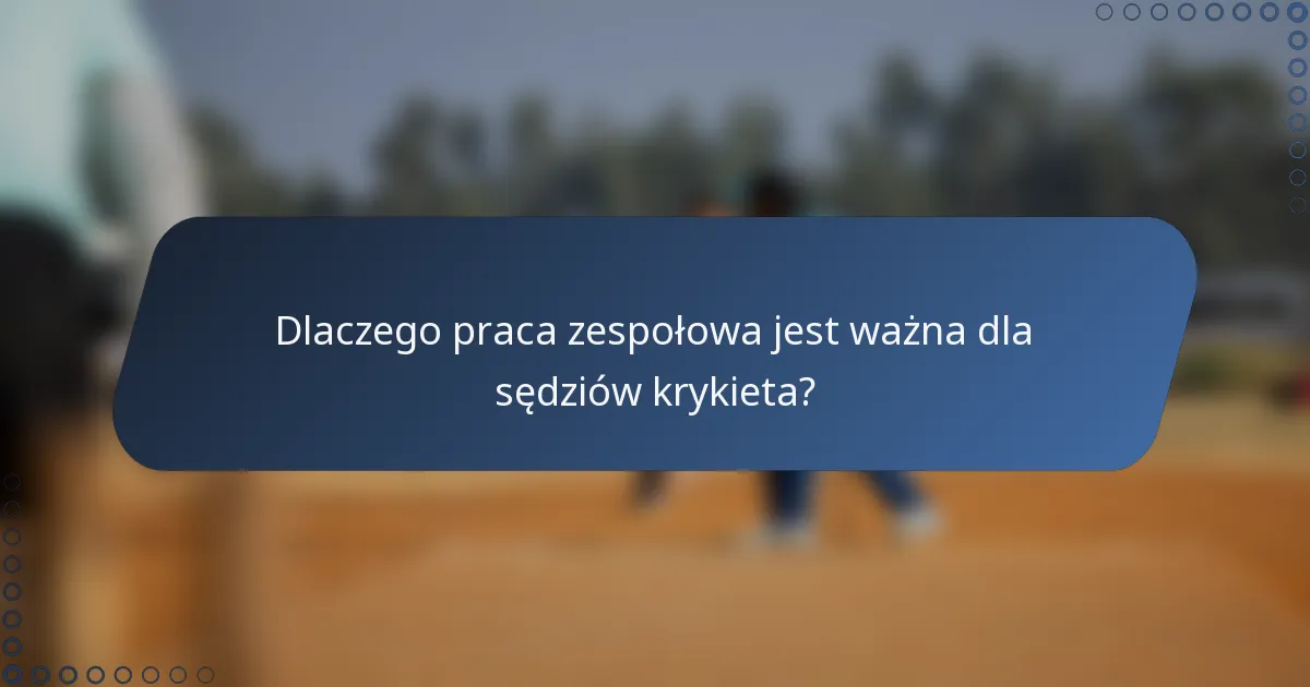 Dlaczego praca zespołowa jest ważna dla sędziów krykieta?