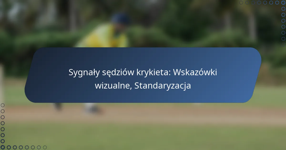Sygnały sędziów krykieta: Wskazówki wizualne, Standaryzacja