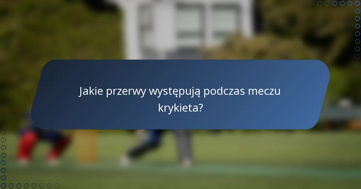 Jakie przerwy występują podczas meczu krykieta?